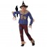 The Wizard Of Oz Scarecrow Cosplay Costume