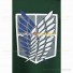 Attack On Titan Cosplay Scouting Legion Wings of Freedom Logo Green Cape Cloak Cotton