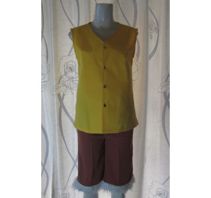 One Piece Monkey D. Luffy Yellow Cosplay Costume
