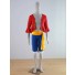 One Piece Monkey D. Luffy (Two Years Later) Cosplay Costume