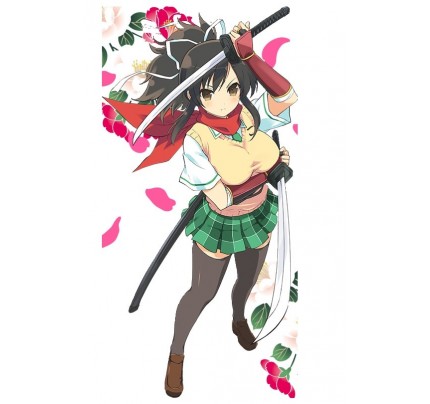 Senran Kagura Burst Re Newal Asuka Cosplay Costume