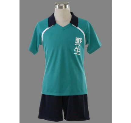Inazuma Eleven Yasei School Soccer Uniform Cosplay Costume