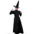The Wizard Of Oz Witch Cosplay Costume