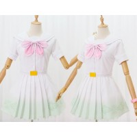 Love Live A Song For You You? You Hanayo Koizumi Cosplay Costume