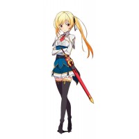 Undefeated Bahamut Chronicle Lisesharte Atismata Cosplay Costume