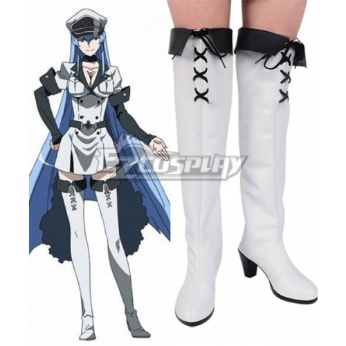 Akame ga KILL! Esdeath Boots Cosplay Shoes